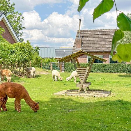 Alpacafarm Vorstenbosch Eksteriør bilde