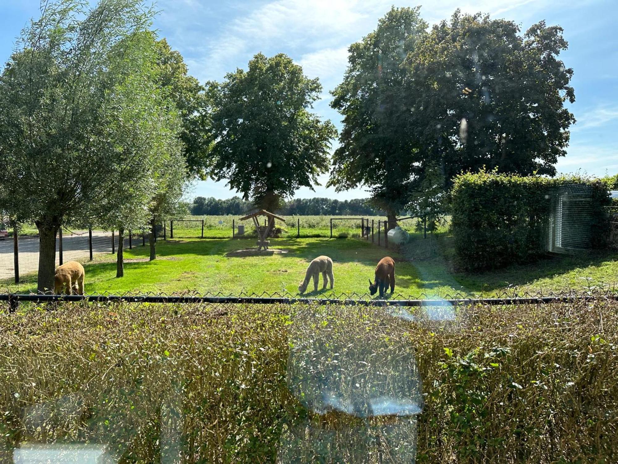 Alpacafarm Vorstenbosch Eksteriør bilde