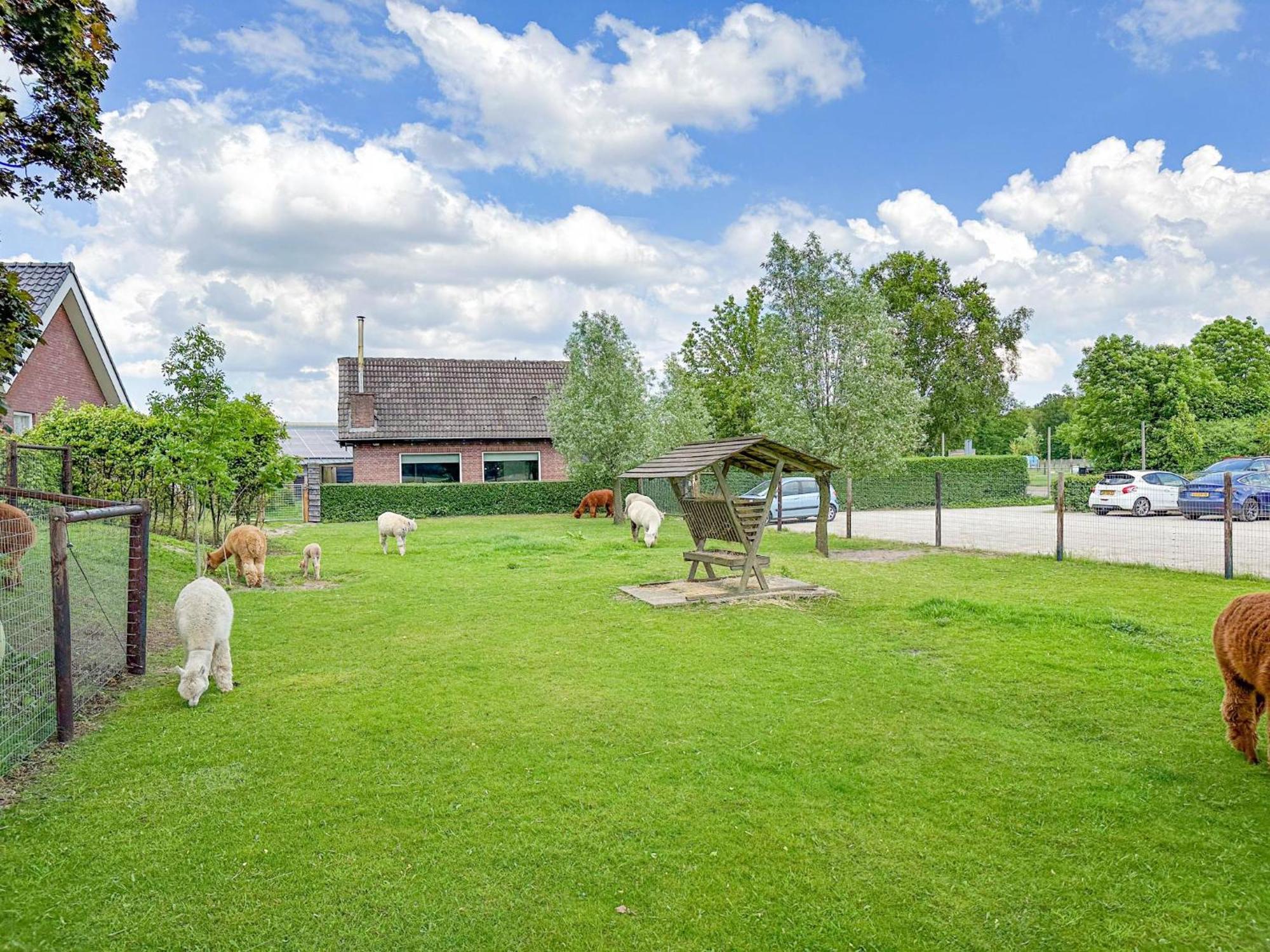 Alpacafarm Vorstenbosch Eksteriør bilde