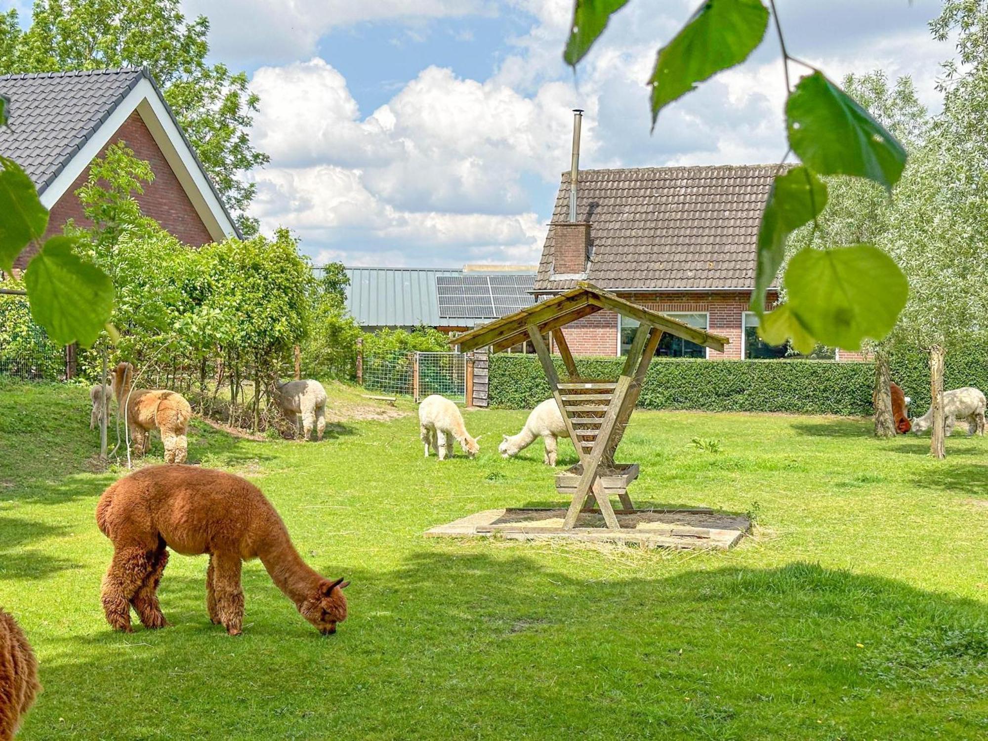 Alpacafarm Vorstenbosch Eksteriør bilde