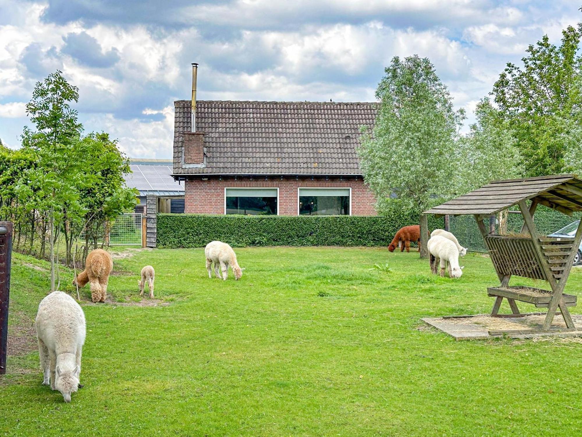 Alpacafarm Vorstenbosch Eksteriør bilde